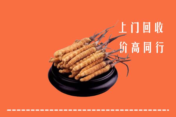 松岭区回收冬虫夏草