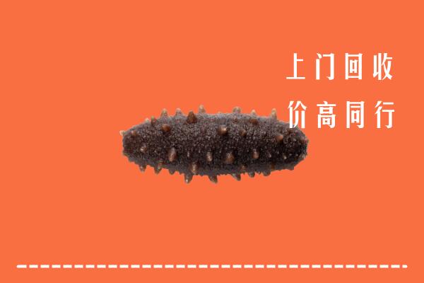 松岭区高价回收海参