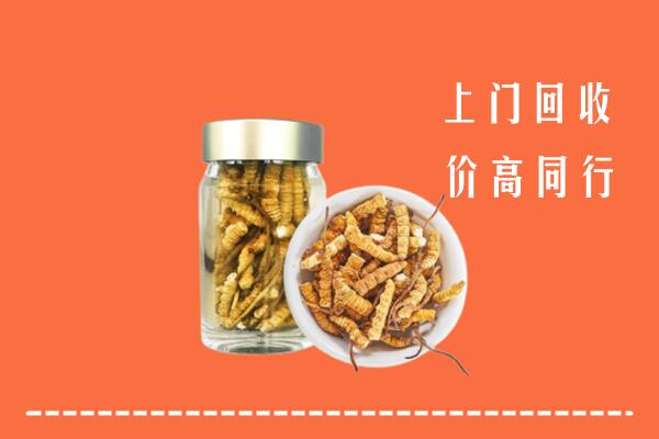 松岭区回收冬虫夏草