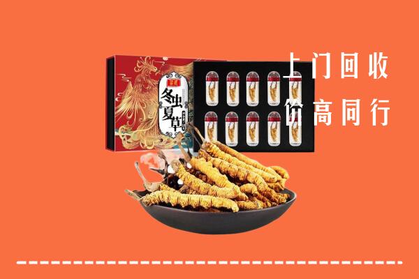 松岭区回收虫草